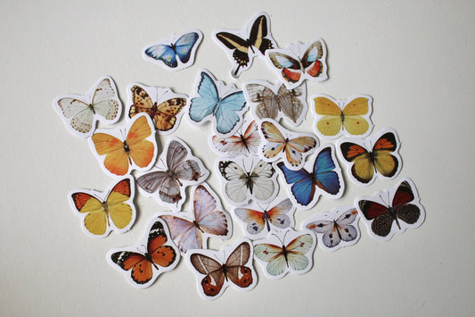 Stickers papier autocollant - Papillons