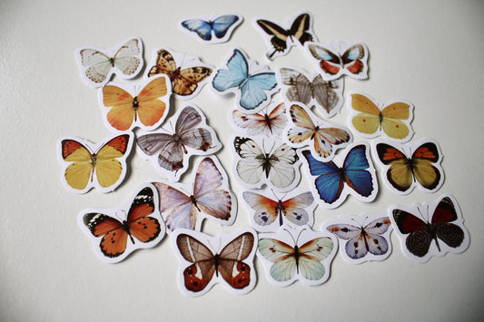 Stickers papier autocollant - Papillons