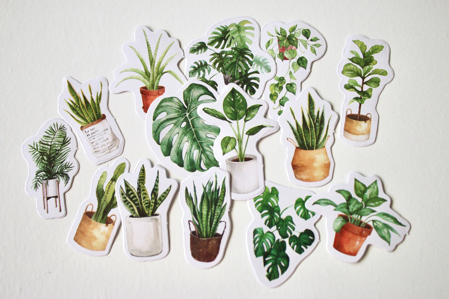 Stickers plante d’intérieur - Autocollant Bullet journal - Loisirs créatifs