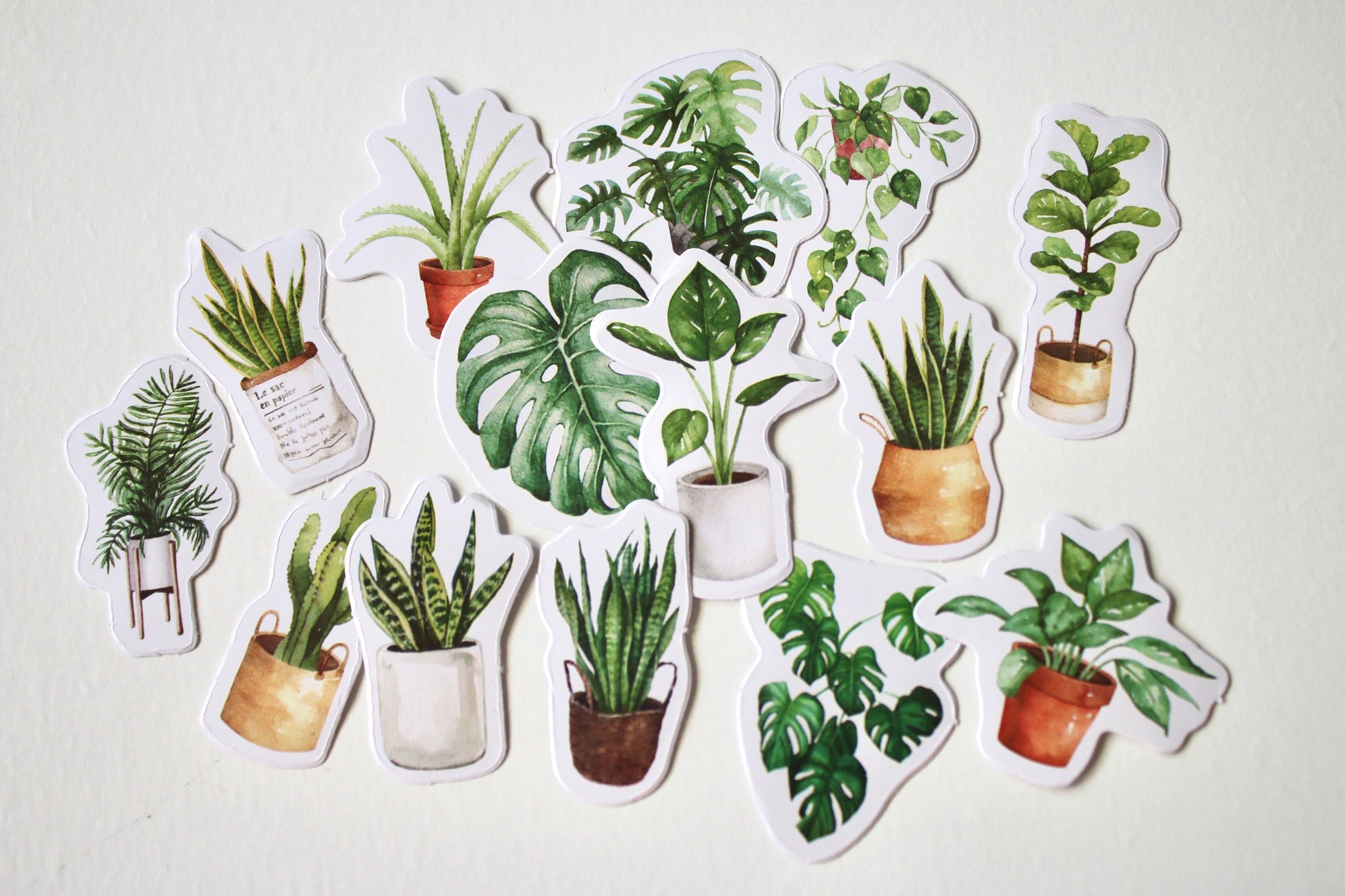 Stickers plante d’intérieur - Autocollant Bullet journal - Loisirs créatifs