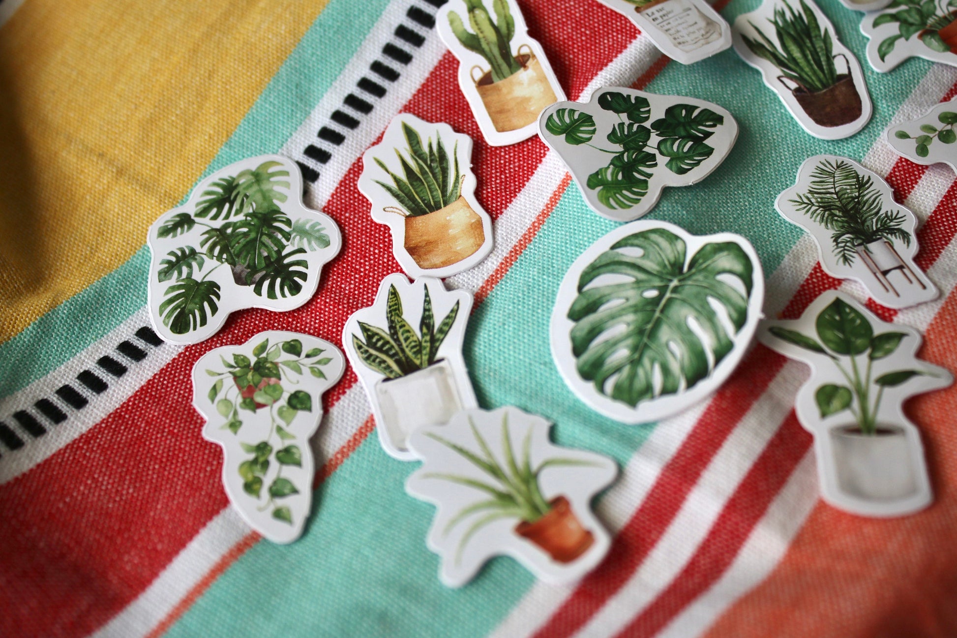 Stickers plante d’intérieur - Autocollant Bullet journal - Loisirs créatifs