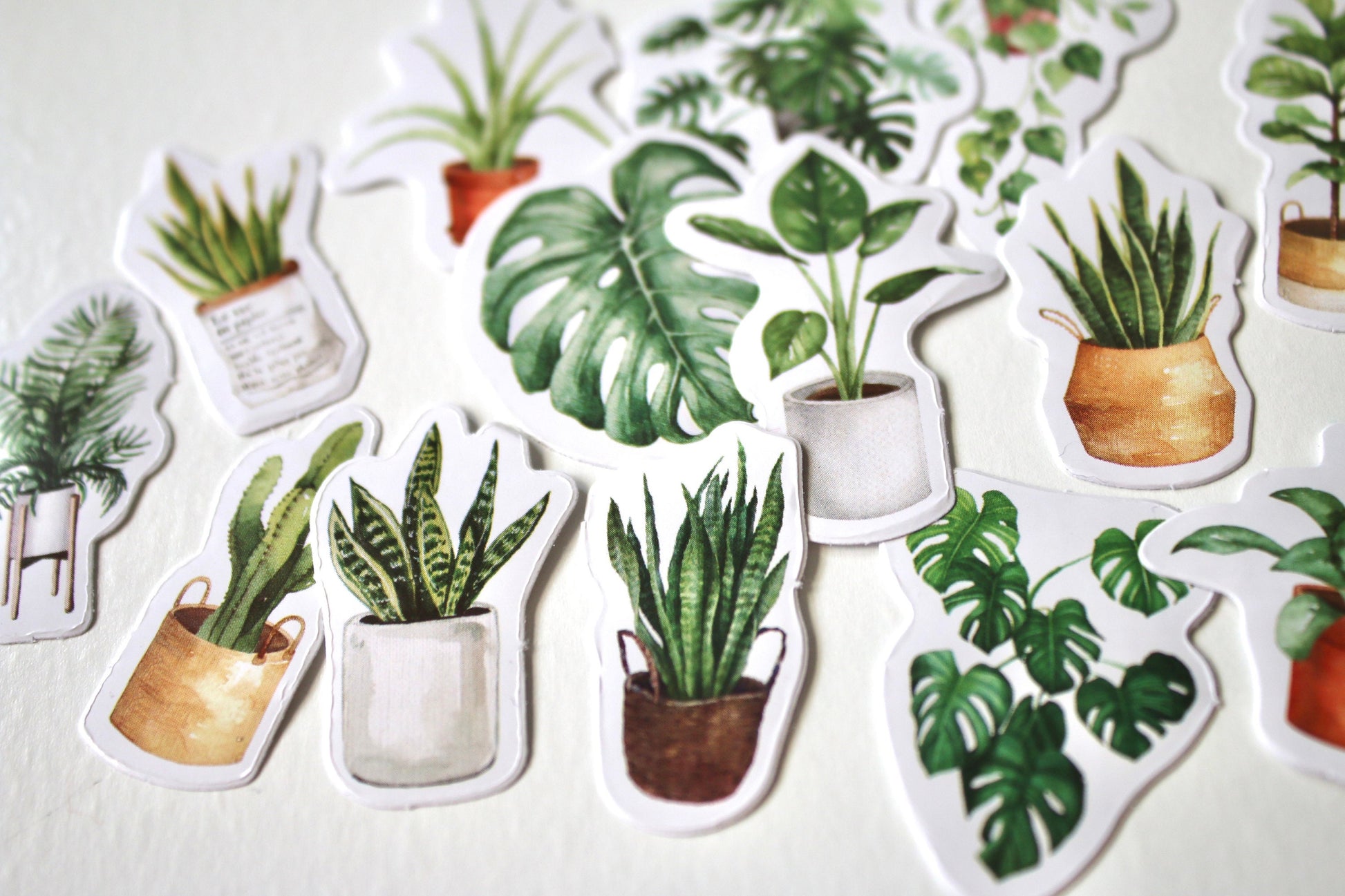 Stickers plante d’intérieur - Autocollant Bullet journal - Loisirs créatifs