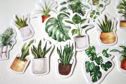 Stickers plante d’intérieur - Autocollant Bullet journal - Loisirs créatifs